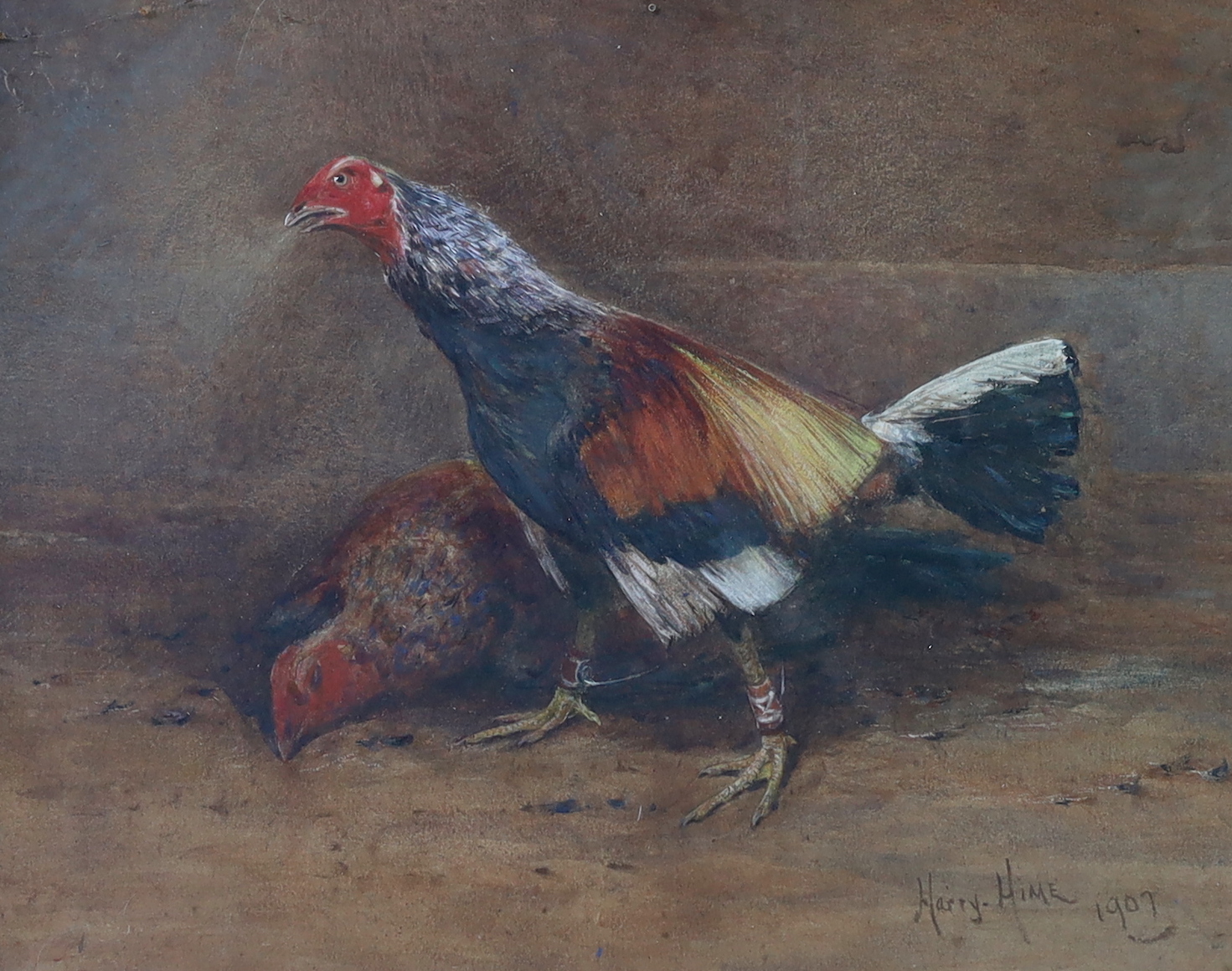 Harry T. Hine (British, 1845-1941), Fighting cocks, watercolour, 25 x 32cm